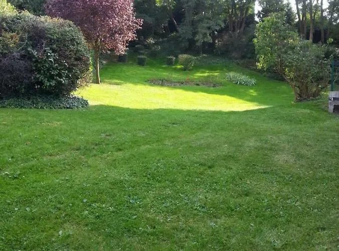 Bellevue アパート